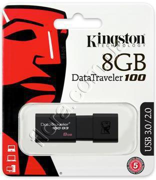 DT100G3/8GB