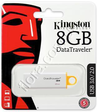 DTIG4/8GB