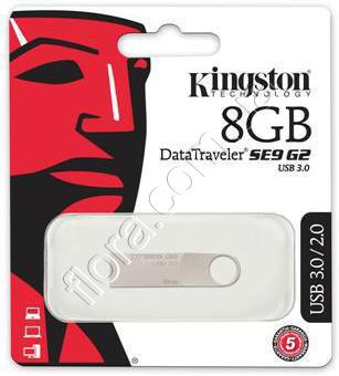 DTSE9G2/8GB